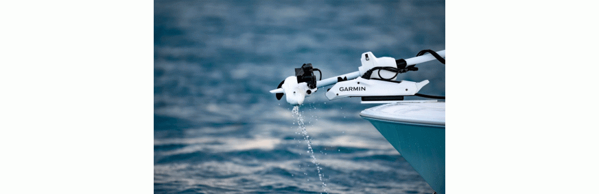 Trolling Motors